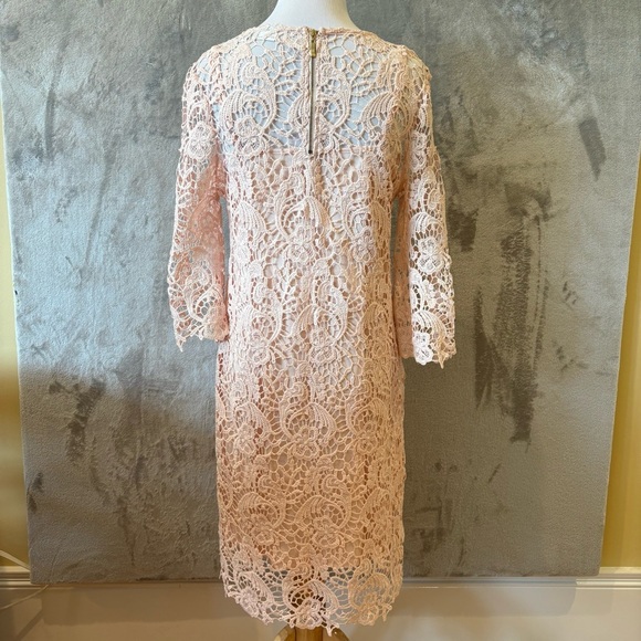 Romantic Rosette Coquette Lace Embroidered Elegant Pink Dress Sz 8 - Picture 7 of 12